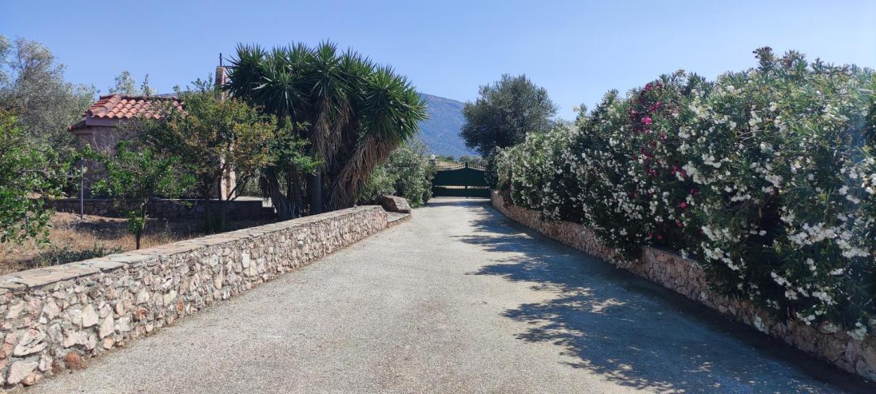 Ellie'S Stonehouse Gianapa, Porto Rafti, Greece, 190 03, Gr Pórto Ráfti Exterior foto
